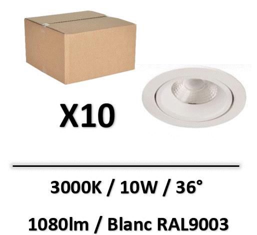 LT-DWO-10WWx10