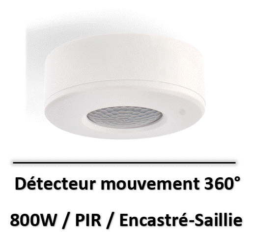 détecteur-mouvement-360