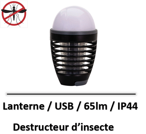 tueur-dinsecte