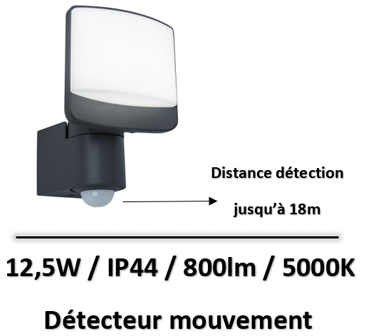 projecteur-led-grande-distance-detection