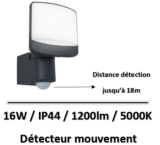 projecteur-grande-distance-detection