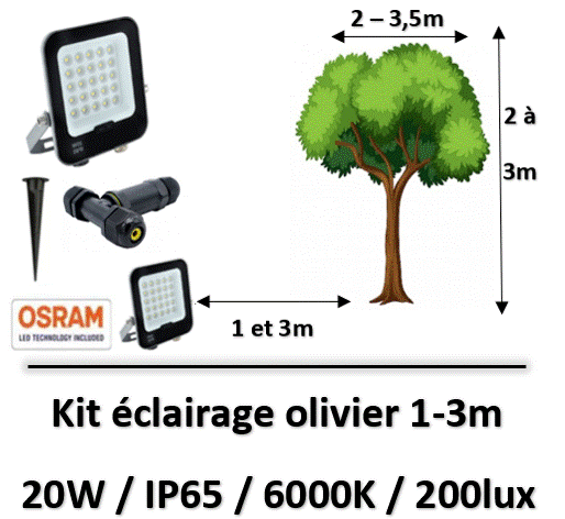 eclairage-olivier