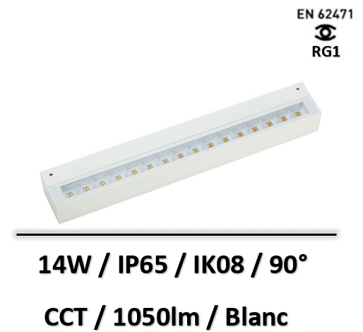 horizon-be-led