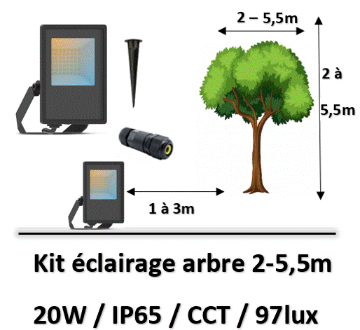eclairage-arbre-CCT