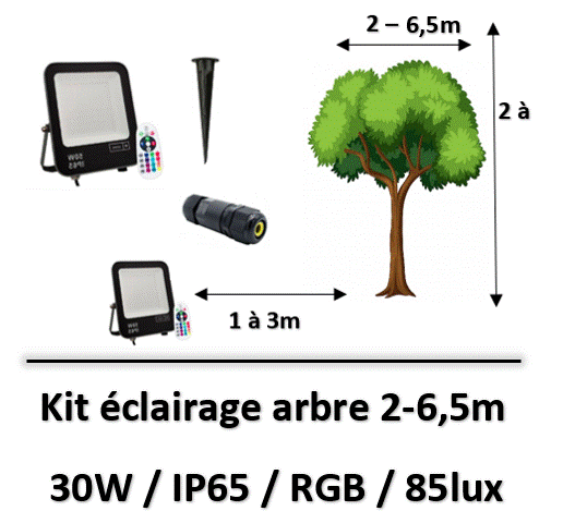 eclairage-darbre-rgb