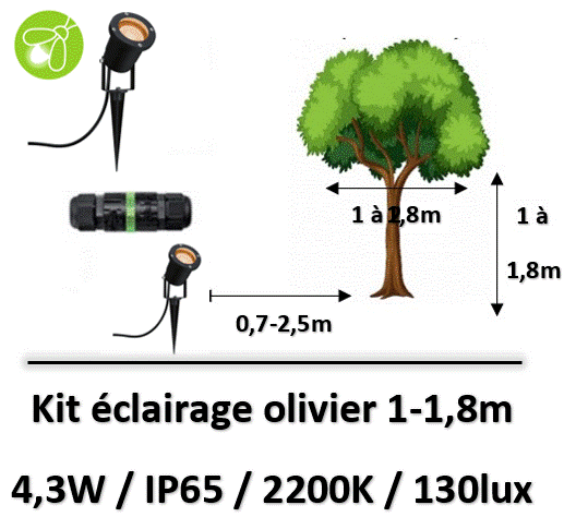 eclairage-olivier