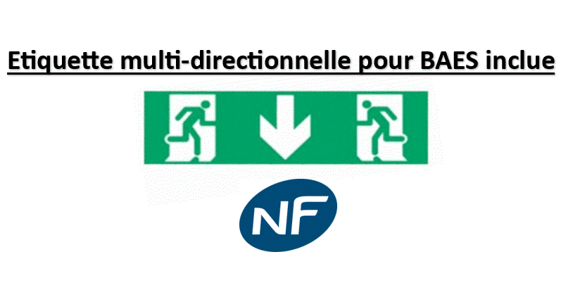 Capture d’écran 2025-05-13 235547