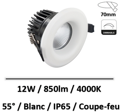 spot-led-coupe-feuù