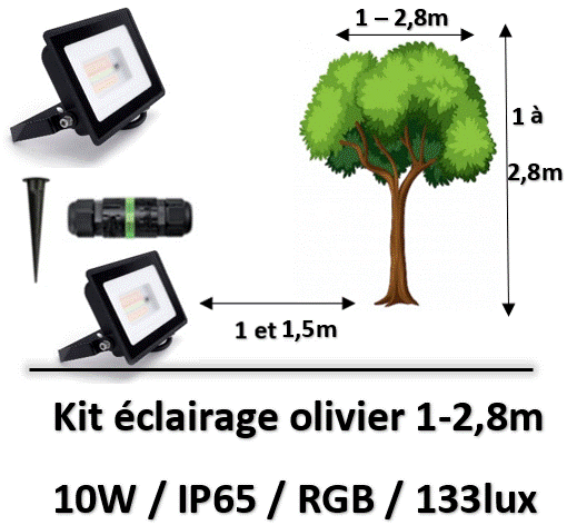projecteur-pour-olivier