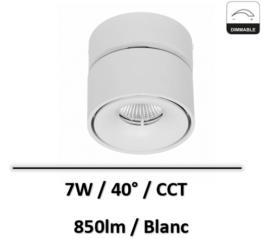 mini-concord-blanc
