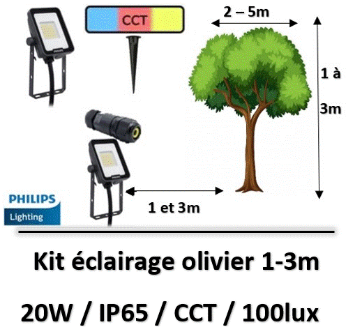 eclairage-arbre-philips