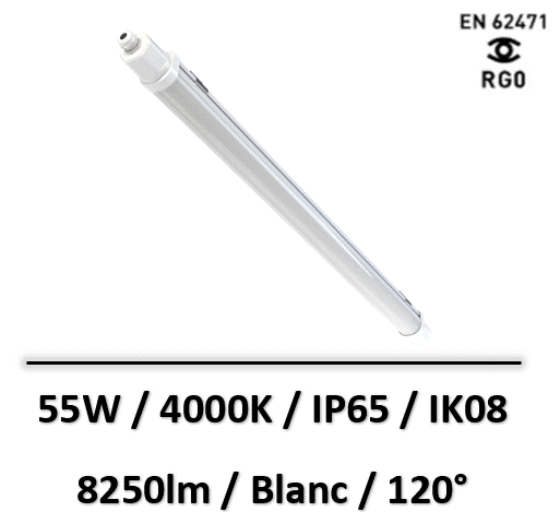 bolt-lited
