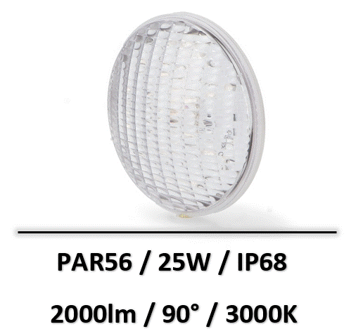 PAR56-piscine