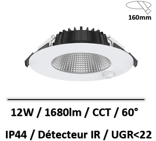surtoit-lited