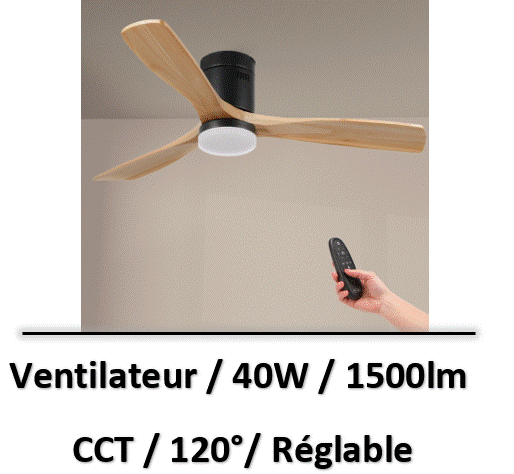 ventilateur-plafond