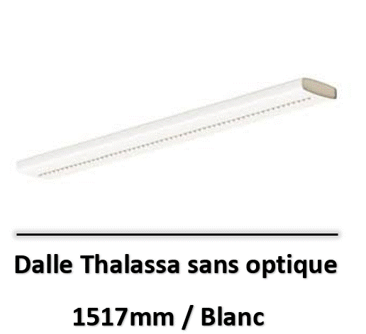 thalassa-lited