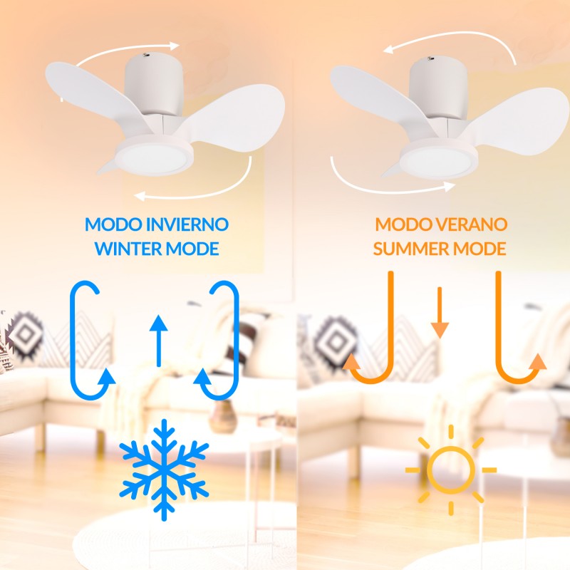 lm8823-verano-invierno_6864095107769-800x800