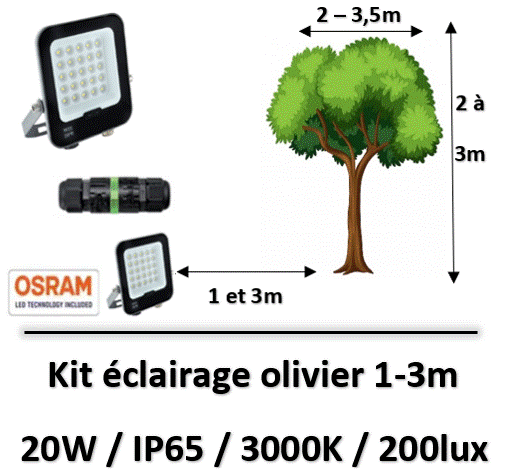 eclairage-olivier