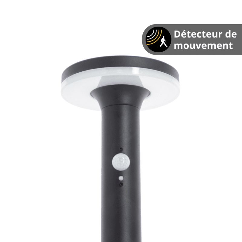 borne-led-solaire-double-detecteur-mouvement-crepusculaire-x3-modes-declairage-600-lumens (1)