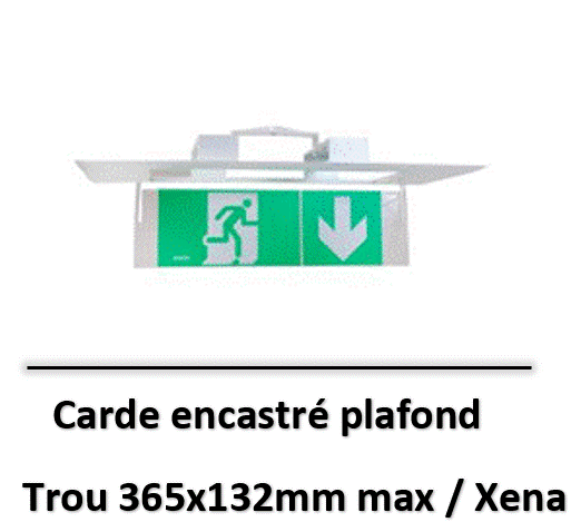 Capture d’écran 2025-07-18 135115