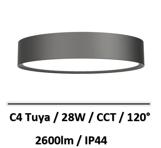 C4-tuya