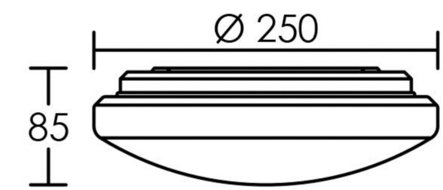 Capture d’écran 2025-07-29 182640