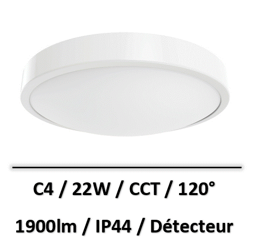 Capture d’écran 2025-07-29 183338