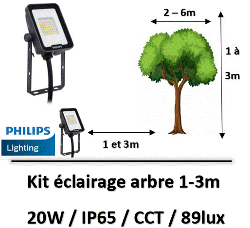 eclairage-arbre