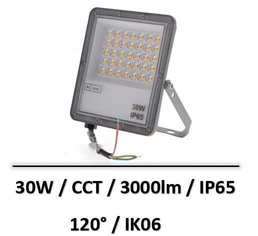 projecteur-30W-CCT