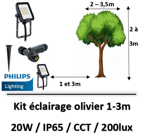 projecteur-20W-philips-led