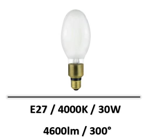 lampe-led-parisienne-30W-E27