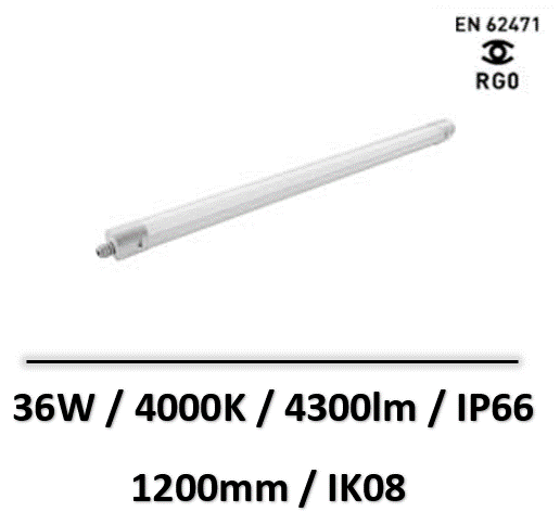 PURELINE-lebenoid