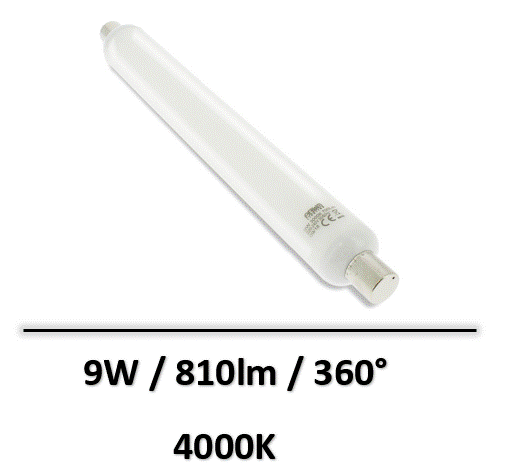 ampoule-led-S19