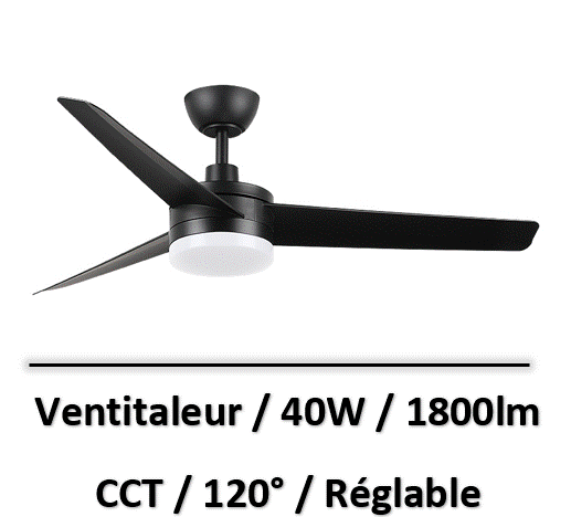 ventilateur-plafond