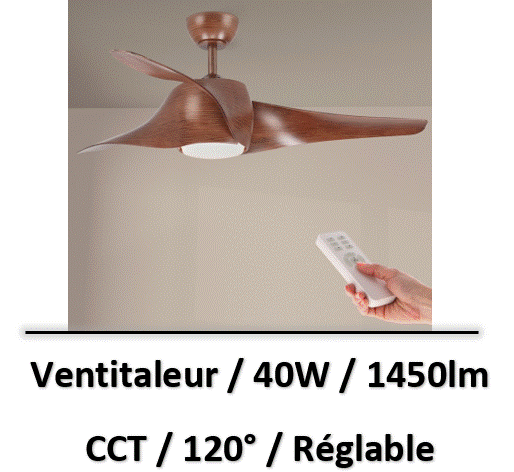ventilateur-plfond-bois