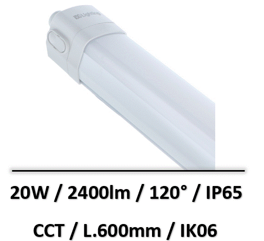 reglette-cct