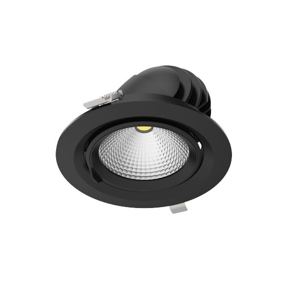 downray-orientable-clareo-30w-access-noir-sans-driver