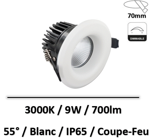 spot-led-coupe-feu