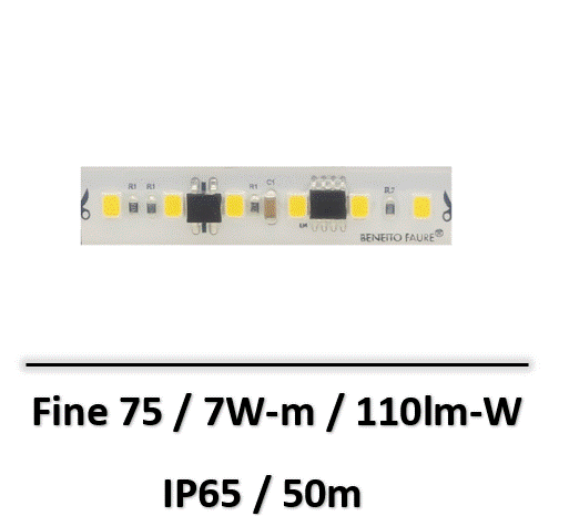 fine75-beneito