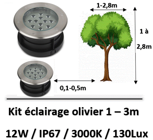 eclairag-olivier
