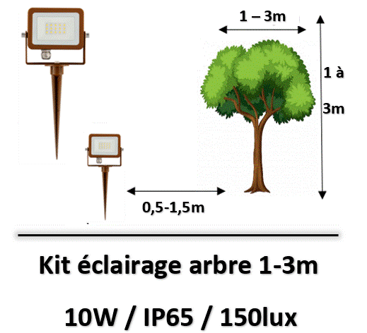 eclairage-arbre