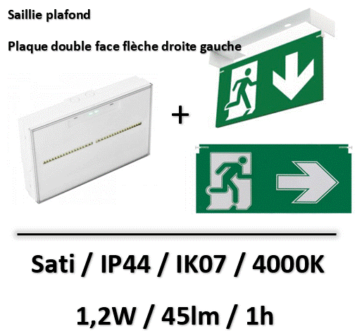 Capture d’écran 2025-10-03 105509