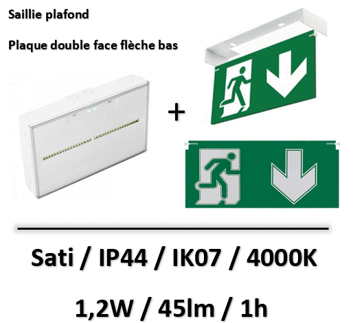 Capture d’écran 2025-10-03 105723