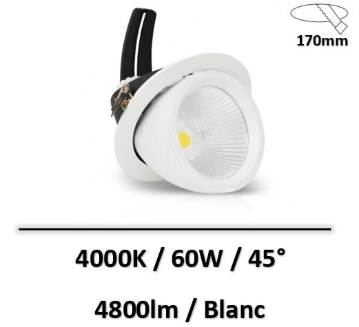 spot-led-orientable-60W-boutique