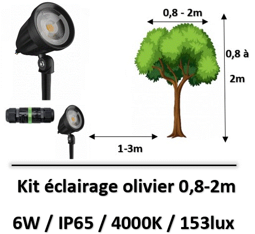 eclaraige-olivier
