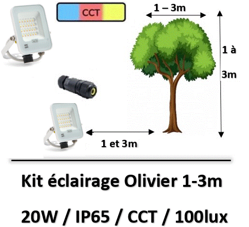 eclairage-olivier