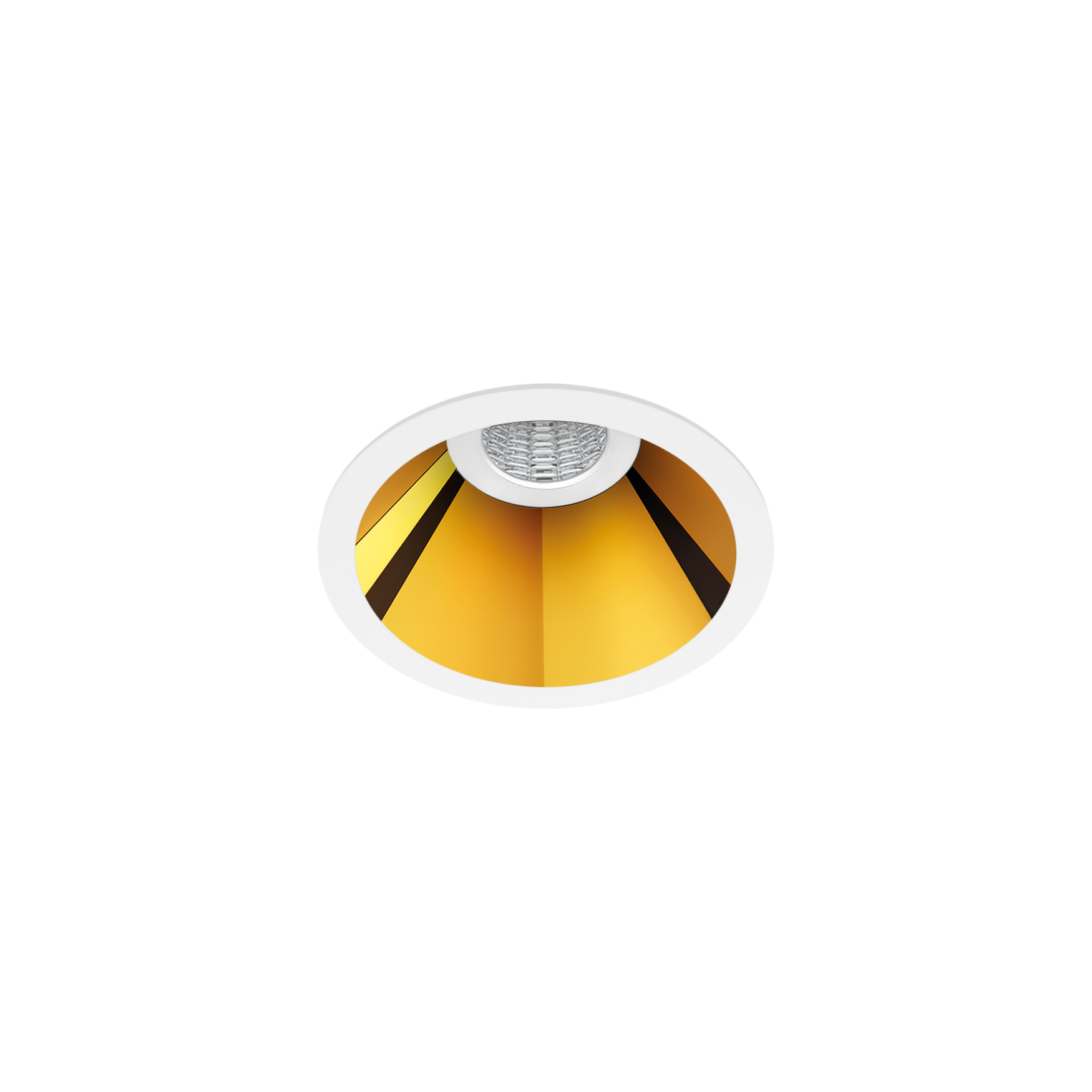 shotlight_s-001-WMG-lw
