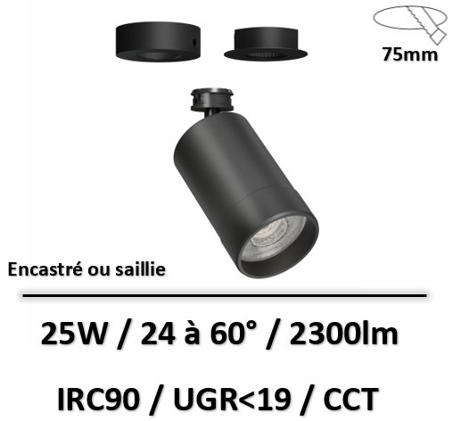 crown-base