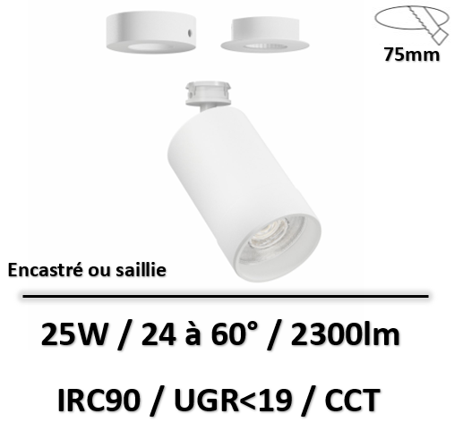 CRown-base