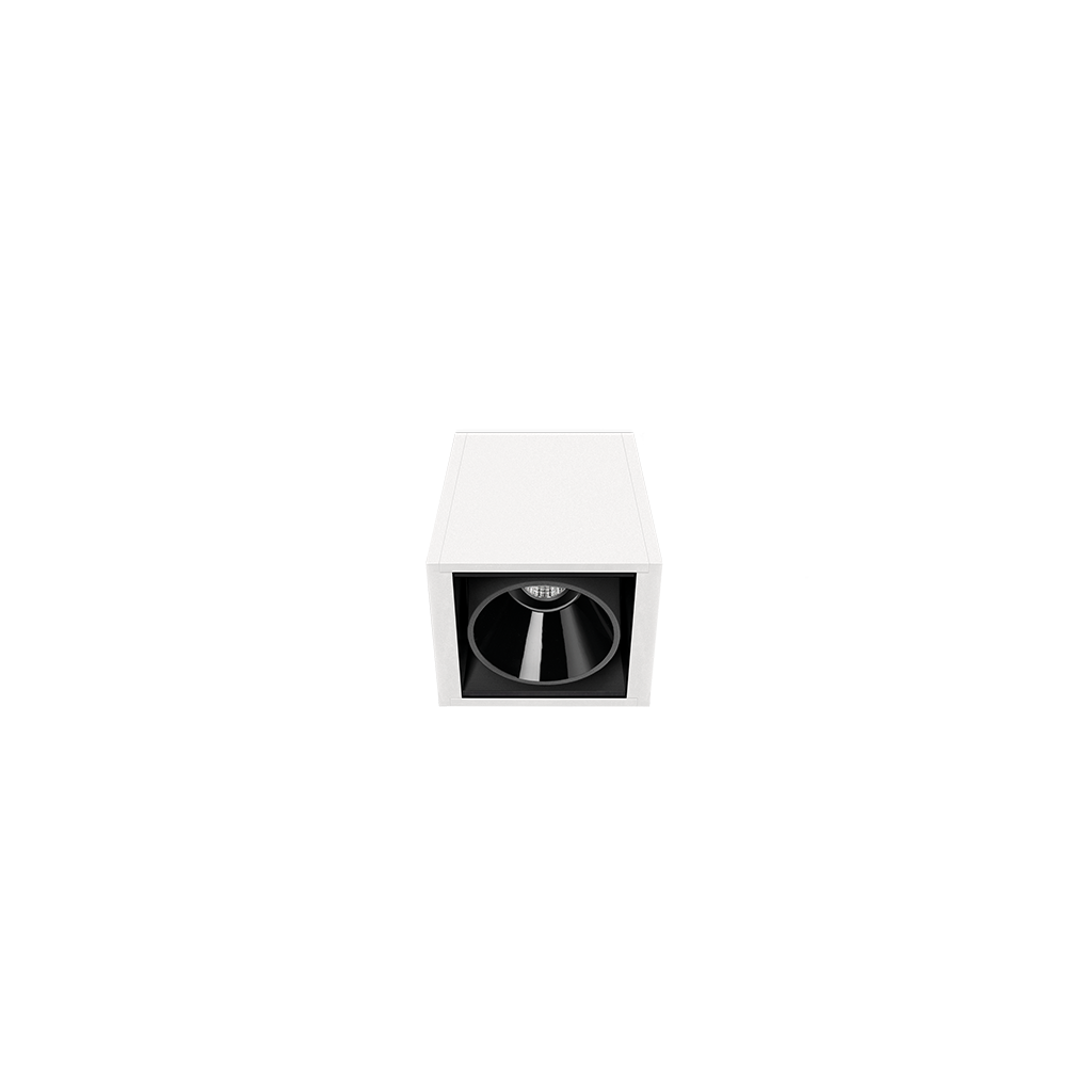 black_foster-02_01-black_foster_surface_1-WT
